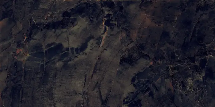 P231123003HG FOSSIL AGATE (3)