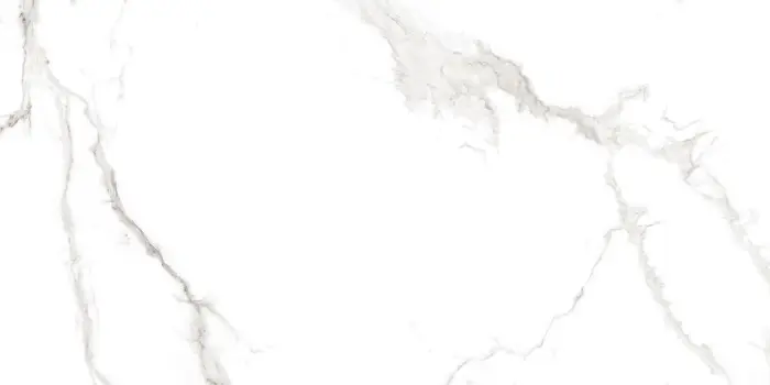 Плитка керамогранитная AZARIO MARTIN GREY 60х120 Glossy (F4110821124G)