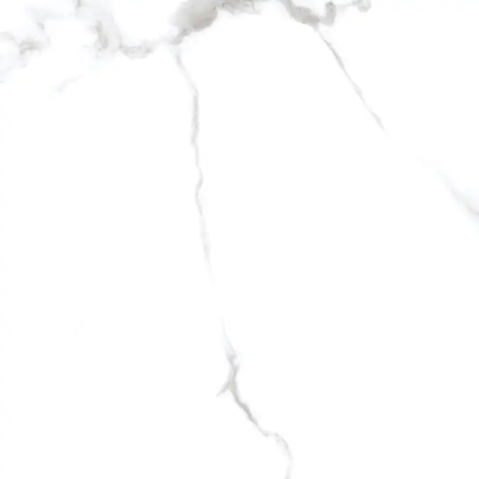 DESERT STATUARIO  (2)