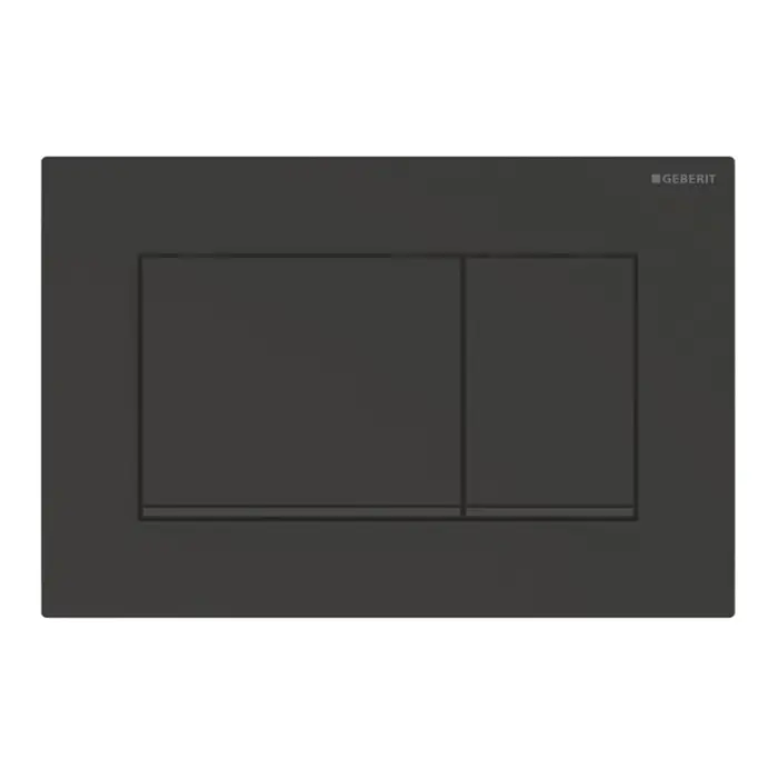 Кнопка смыва Geberit Sigma30, двойной смыв, цвет черный