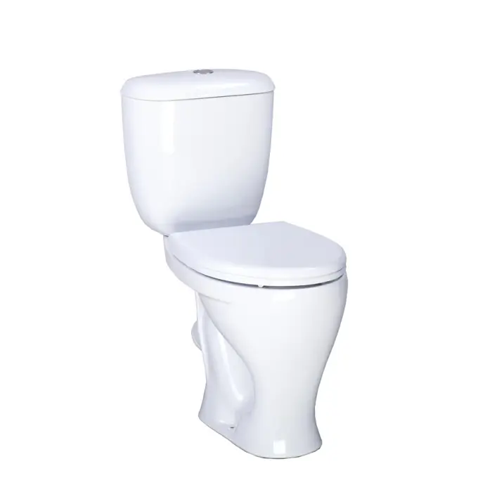 Унитаз-компакт Santeri Воротынский напольный, с сидением стандарт (1.P401.7.S00.00B.F)