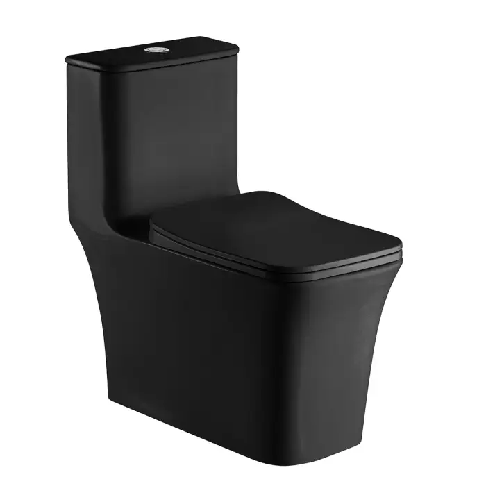  Унитаз-моноблок AZARIO GRESSA 705х370х760 напольный, безободковый в комплекте с сиденьем микролифт, цвет черный матовый (AZ-1111MB)