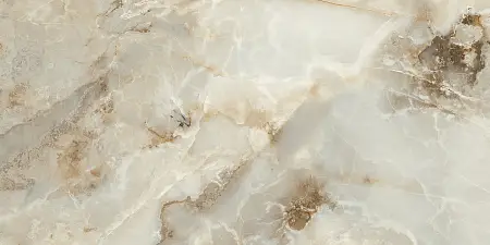 CANYON ONYX (3) копия